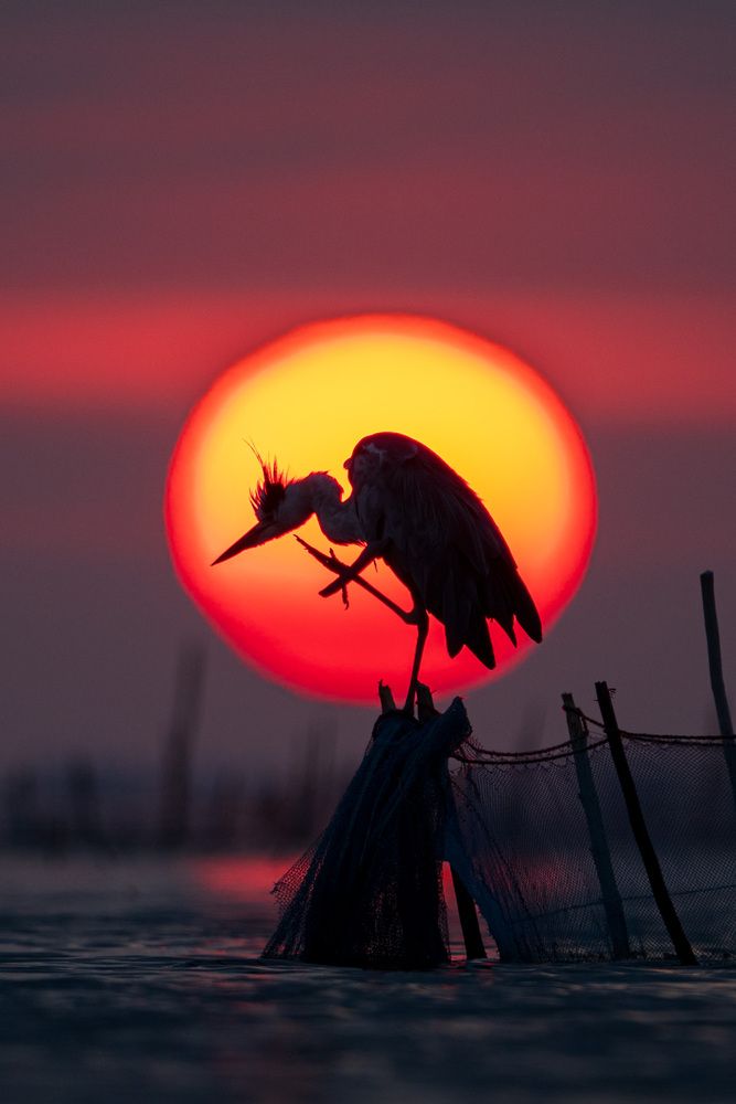 Photograph by Murugaiah Saravanan