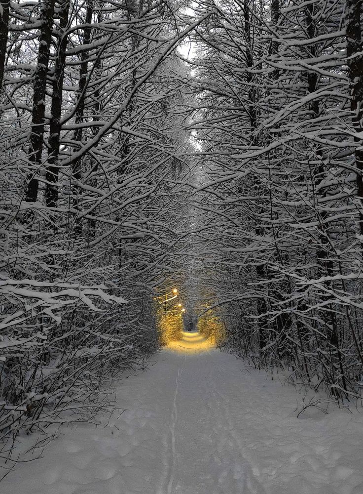 Photograph by ANDREY PERESHEIN