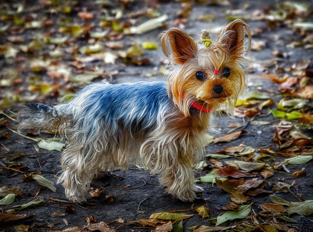 Photograph by Владимир Кваша