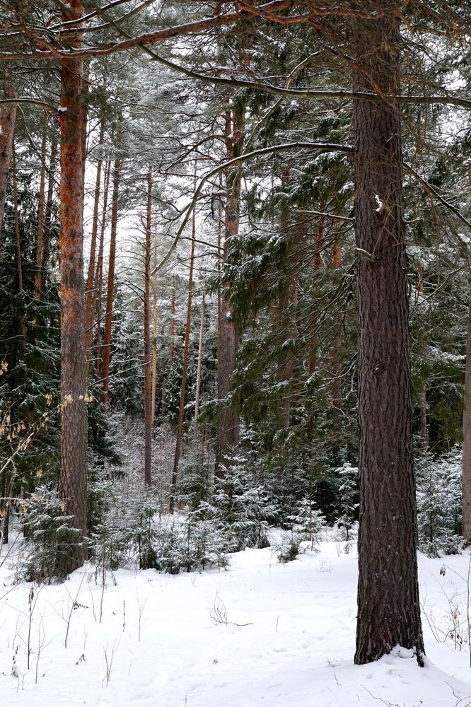 Photograph by Исаков Александр