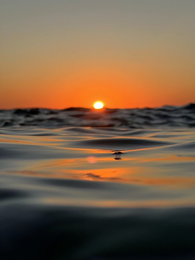 Photograph by Александра Тимошенко