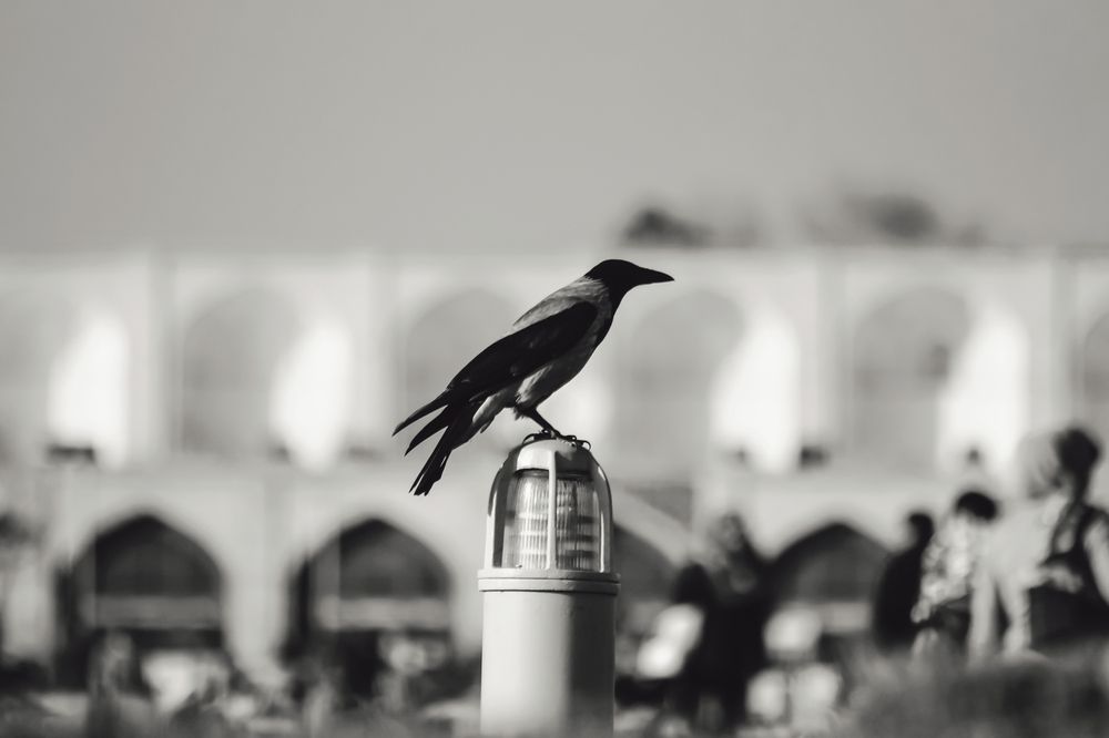 Фотография автора Ermac Kiyani