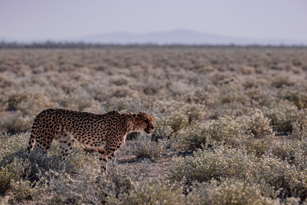 Photograph by Кирилл Мазазолин