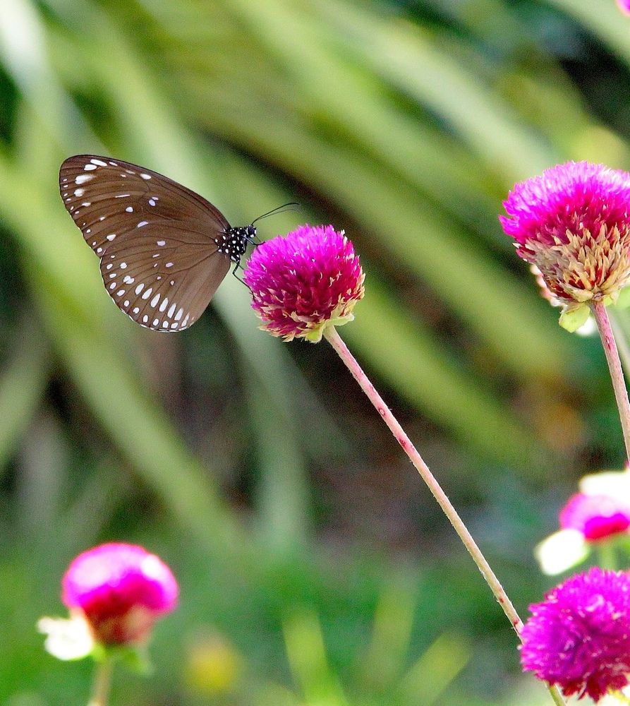 Photograph by Светлана Булыгина