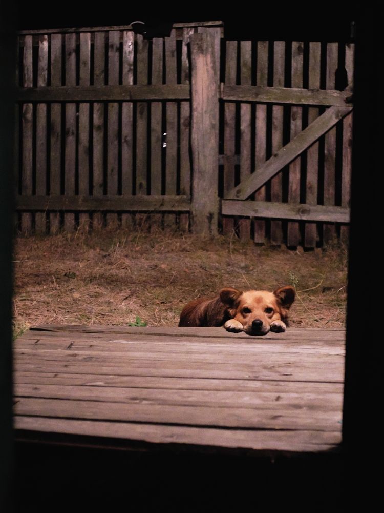 Photograph by Олег Челноков