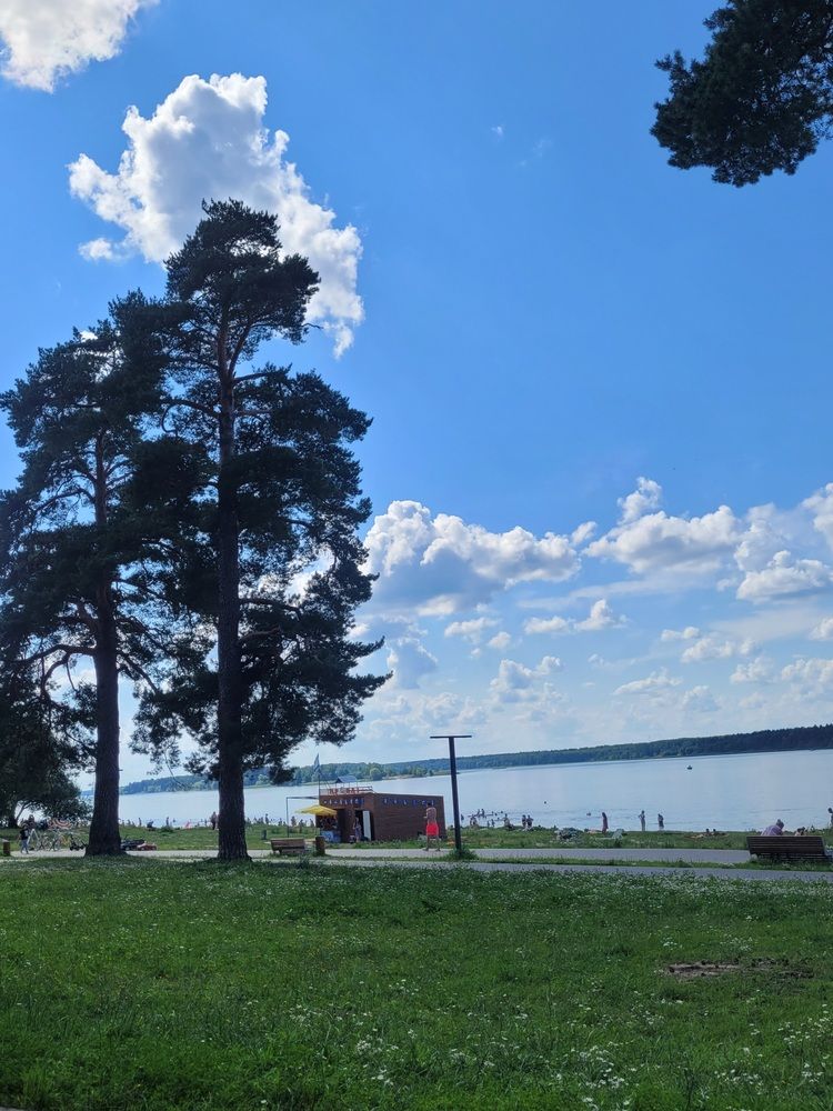 Летняя пора