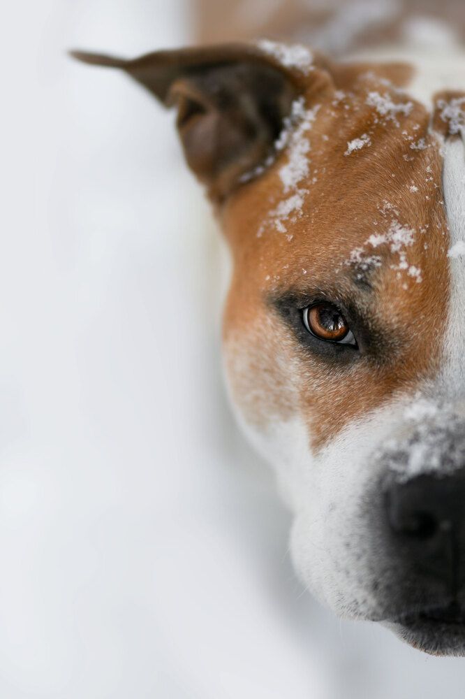 Photograph by Patrycja Dawid