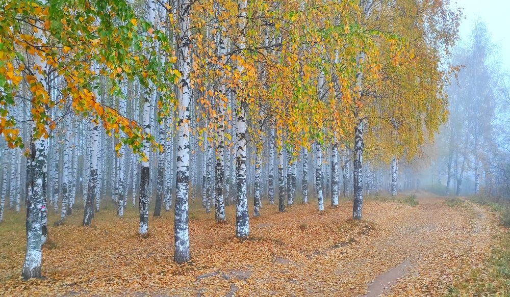 Photograph by ANDREY PERESHEIN