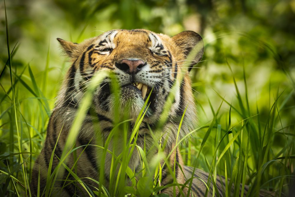 Photograph by Rahuldeb Bhattacharya