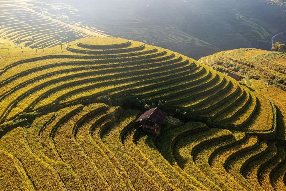 Фотография автора Lien Vu