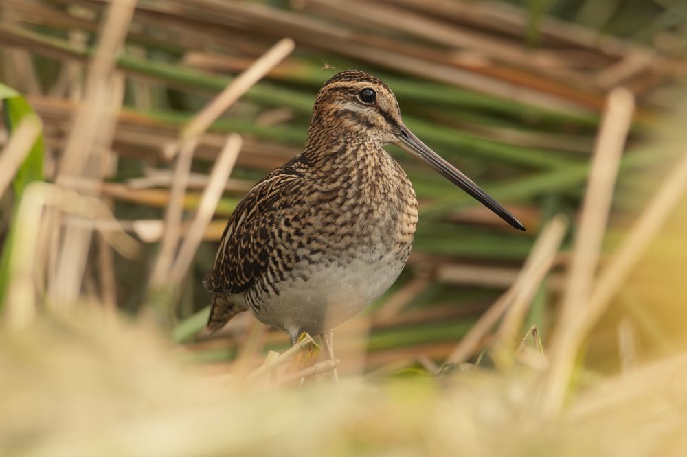 Photograph by Федорако Дмитрий