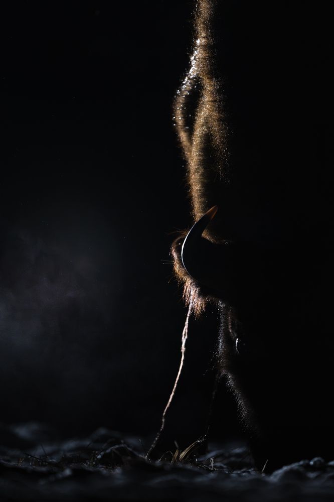 Photograph by Елена