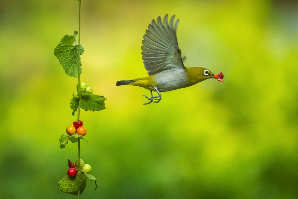 Photograph by Rahuldeb Bhattacharya