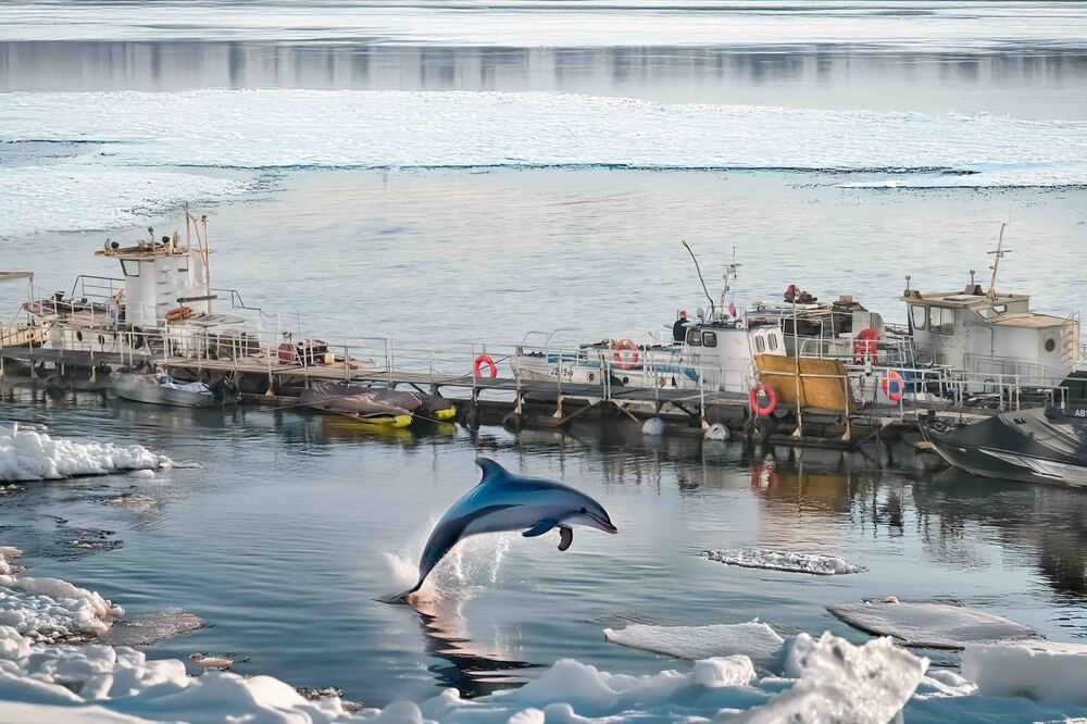 Photograph by Андрей Чернышов