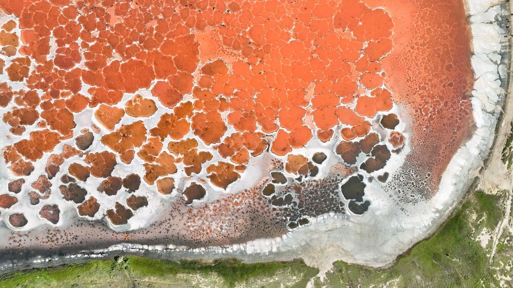 Photograph by Сергей Реутов