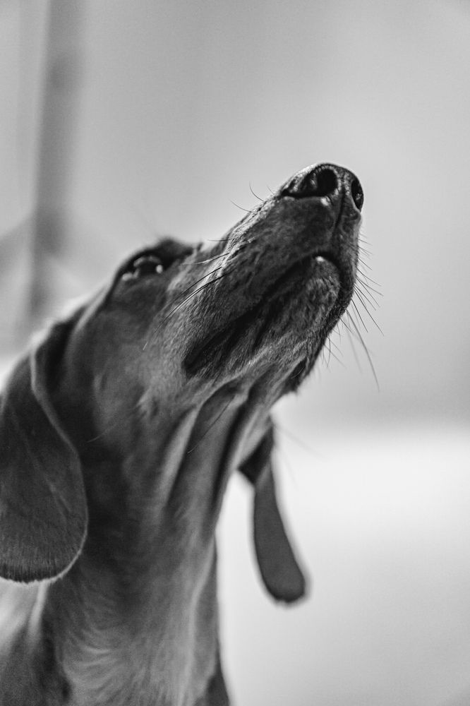 Photograph by Юлия Першина