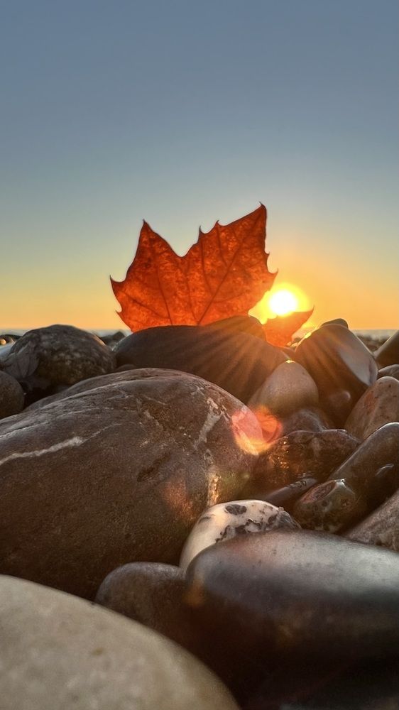 Photograph by Александра Тимошенко
