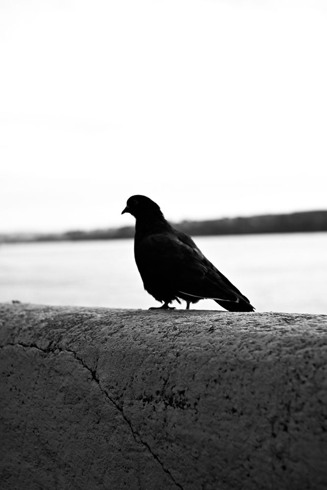 Photograph by Ksenia Ivashko