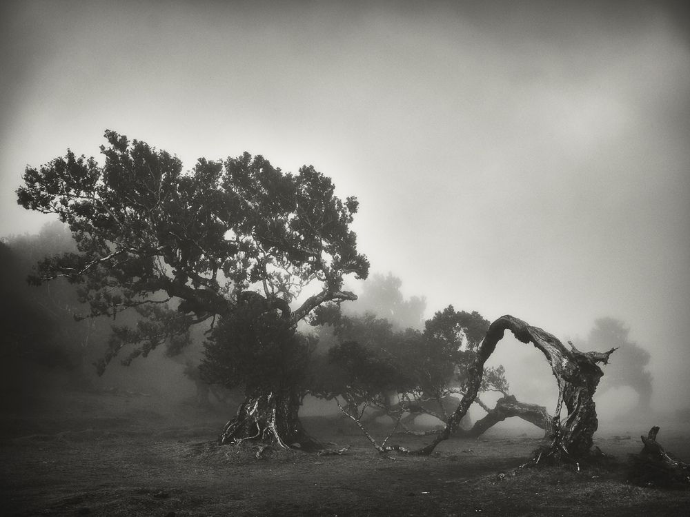 Фотография автора Vasilev Kris