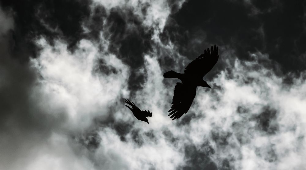 Фотография автора Ermac Kiyani