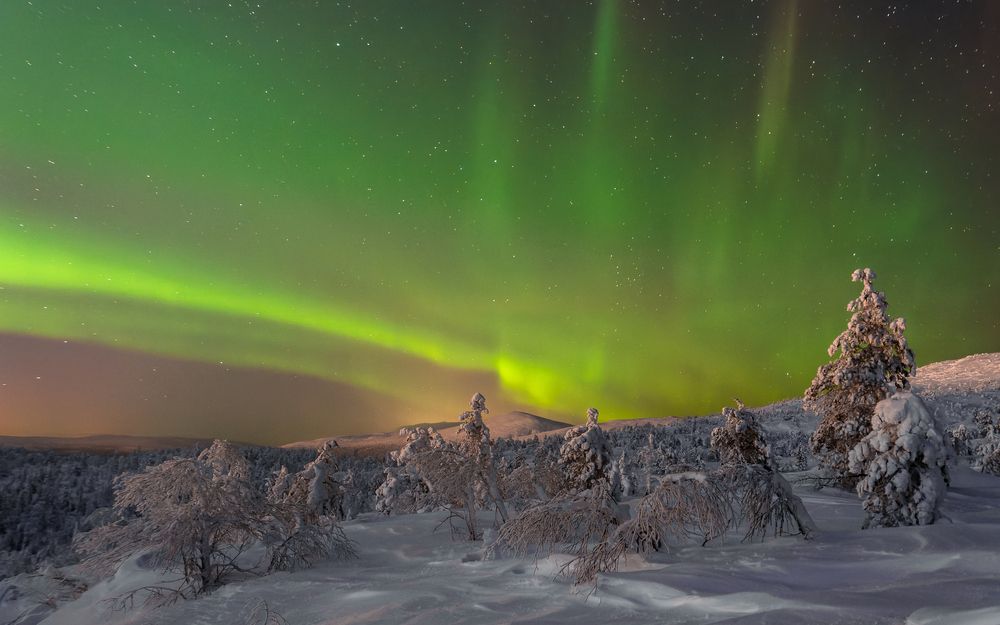 Фотография автора Mika Mgla