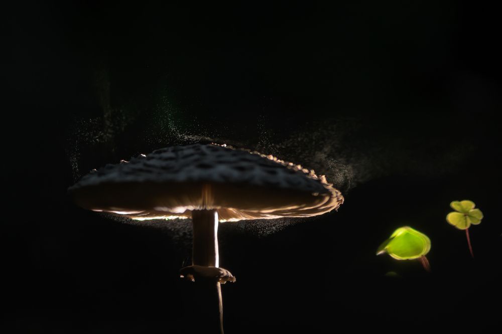 Photograph by Соварцева Ксения