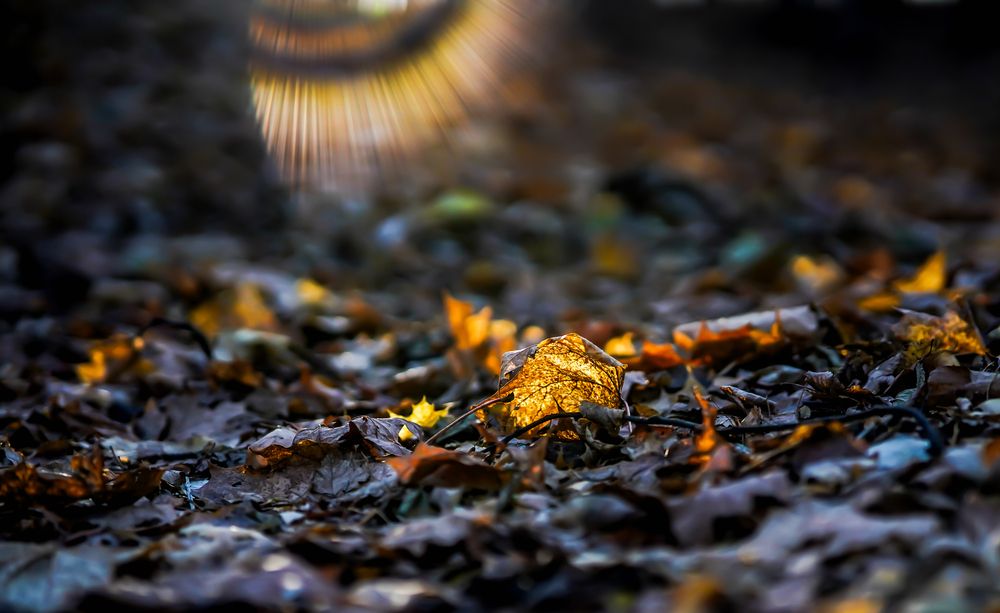 Photograph by Сергей Арямов