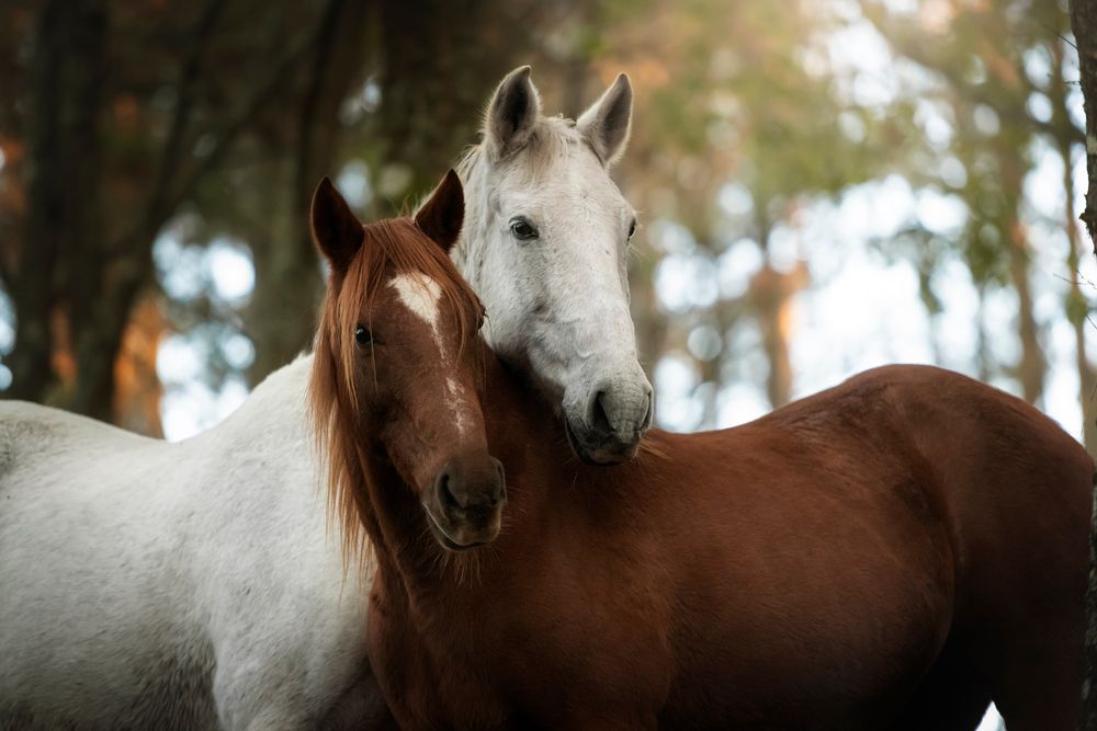 Photograph by Tamara Lebón Sánchez