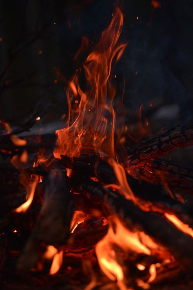 Photograph by Соварцева Ксения