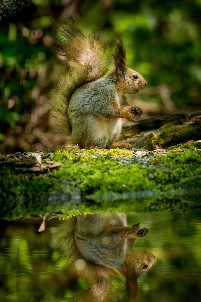 Photograph by Елена Быкова