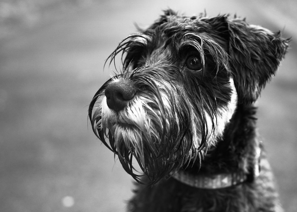 Photograph by Юлия Першина