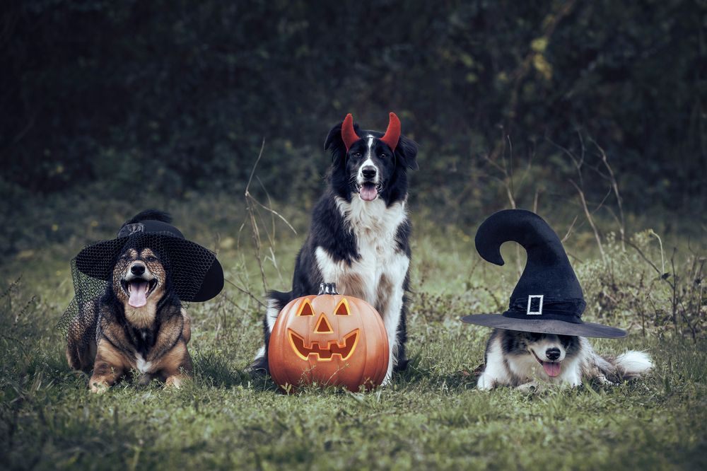 Photograph by Tamara Lebón Sánchez