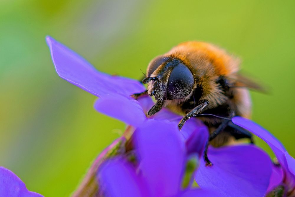Photograph by Михаил Косолапов