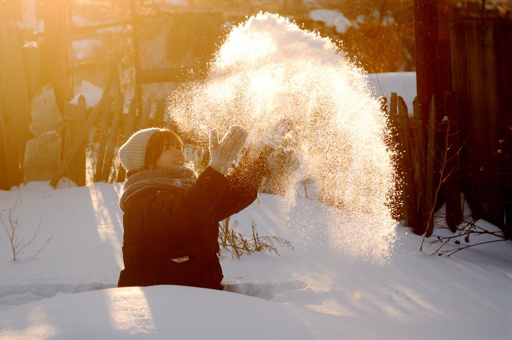 Фотография автора Алексей Воронцов