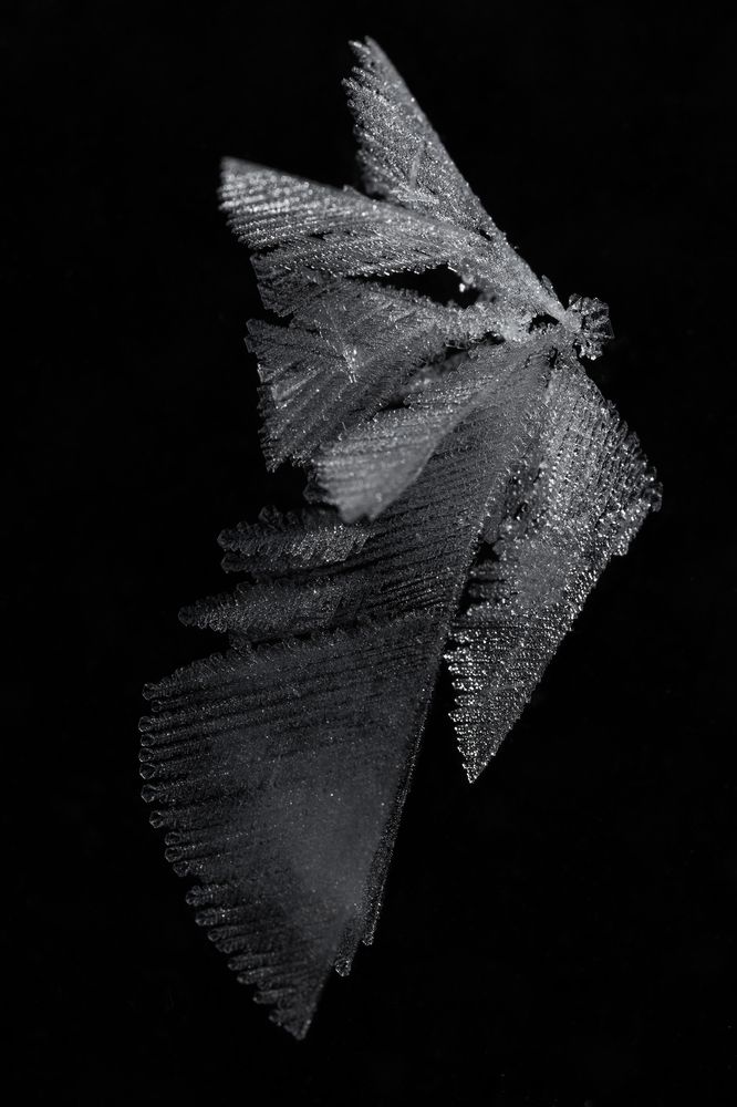 Photograph by Ольга Шайдулина