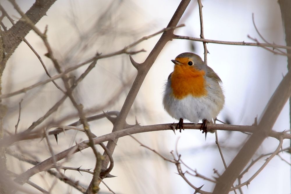 Photograph by Виктор Владимиров