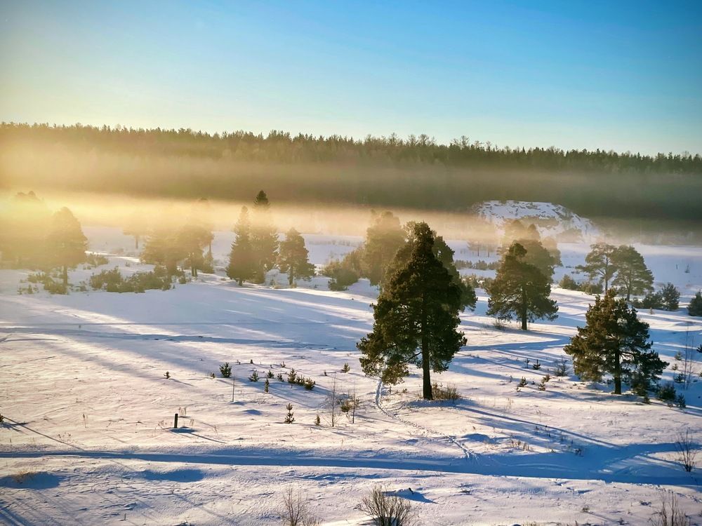 Photograph by Светлана Хохлова