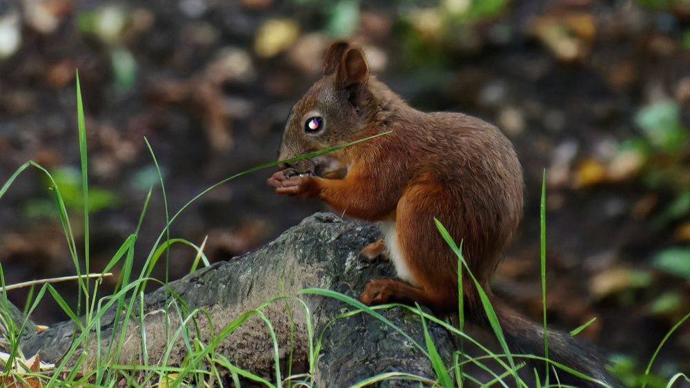 Photograph by Вячеслав