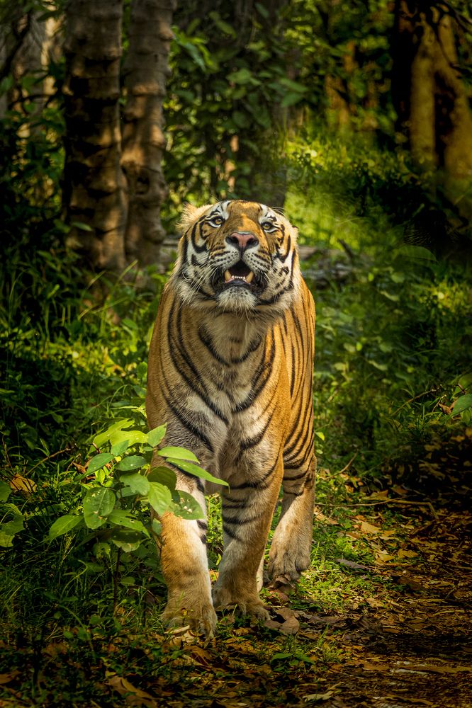 Photograph by Rahuldeb Bhattacharya