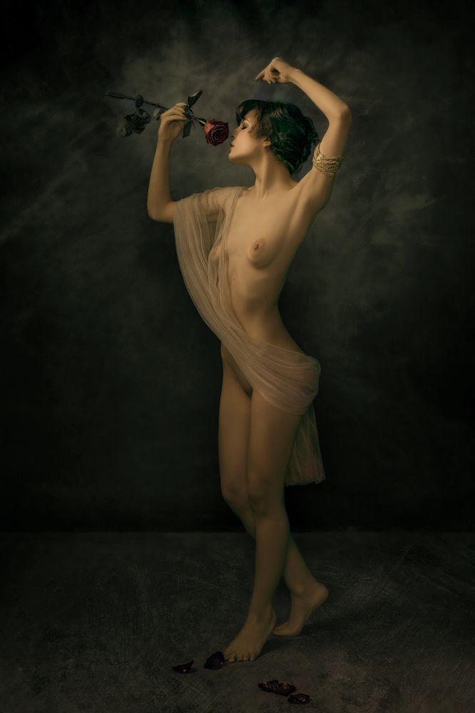 Фотография автора Colisnic Dan