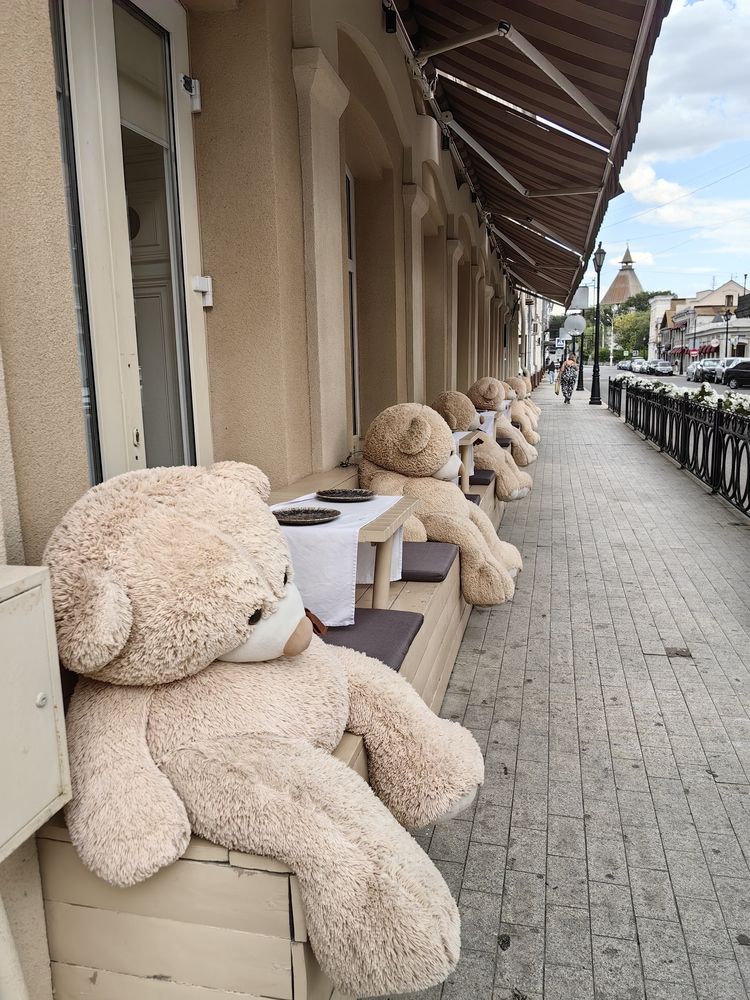 Фотография автора Елена Гинцберг