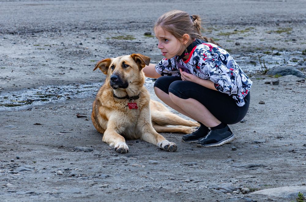 Фотография автора Олег Каргаполов