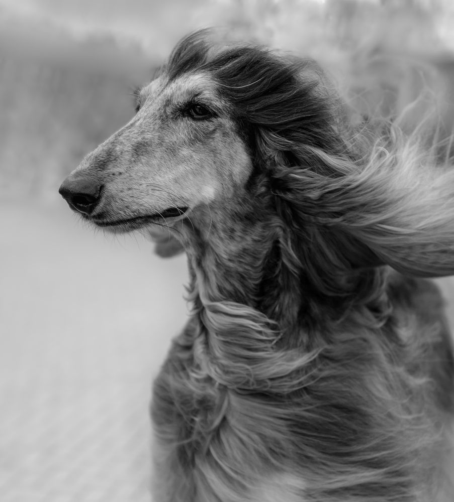 Photograph by Yulia Stepanova