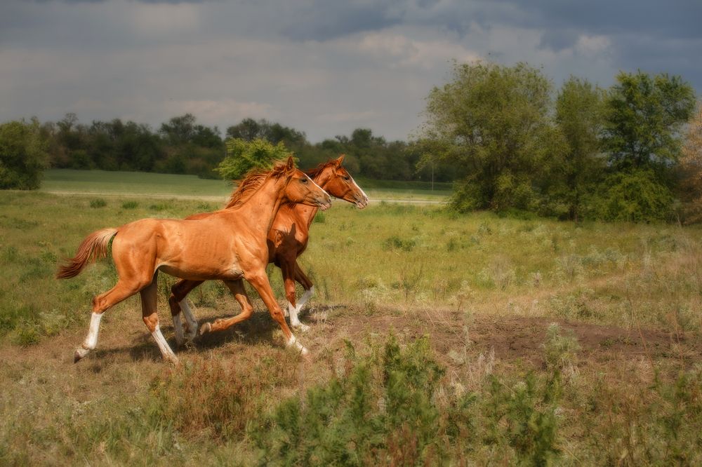 Photograph by Ольга Рябчикова