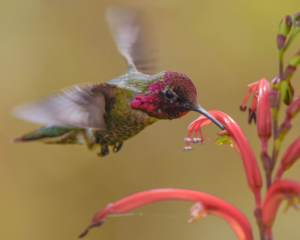 Photograph by Antara Chakravarty