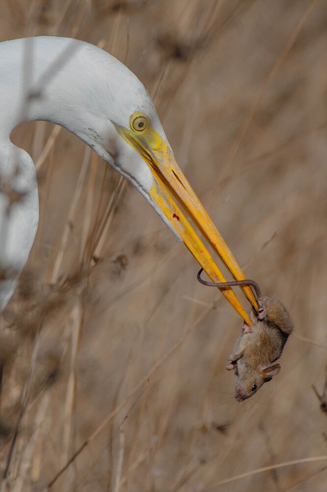 Photograph by Antara Chakravarty