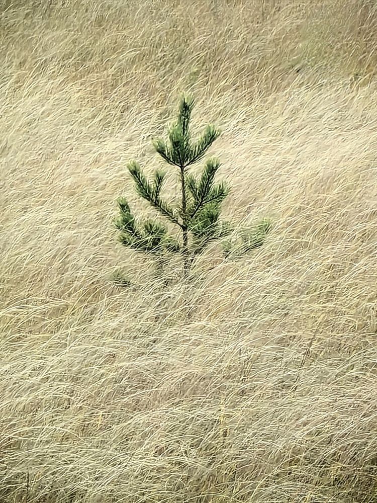 Фотография автора Елена Гинцберг