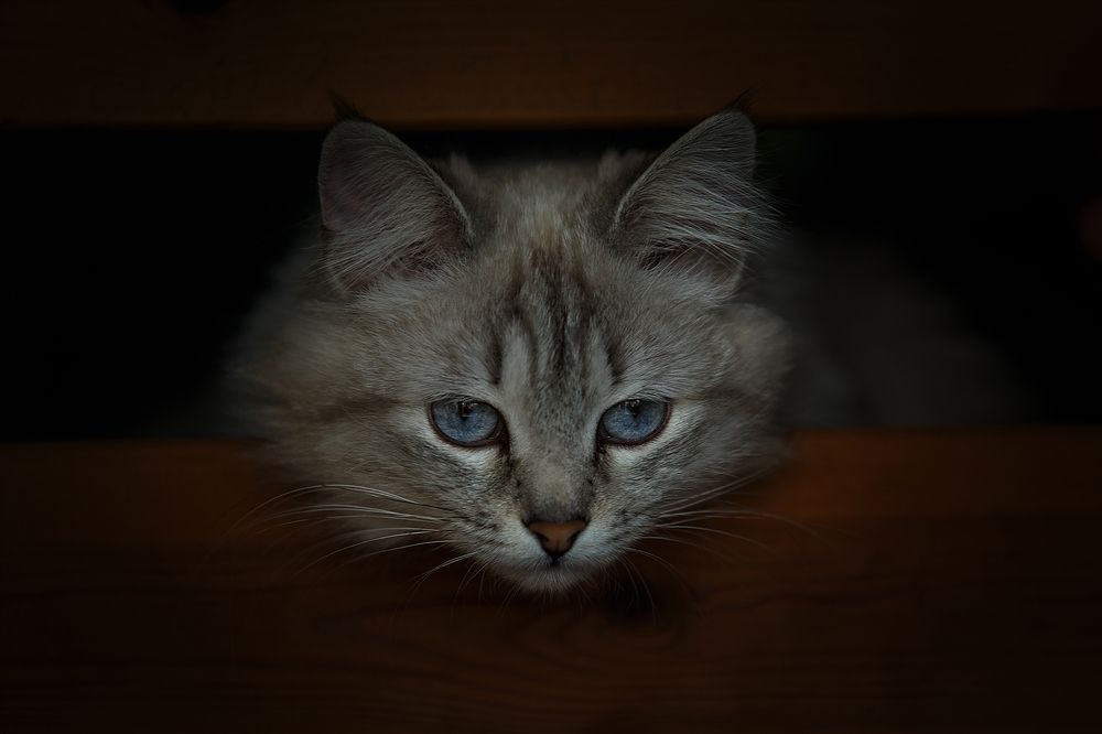 Photograph by Ольга Рябчикова