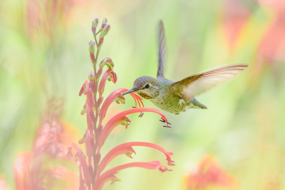 Photograph by Antara Chakravarty