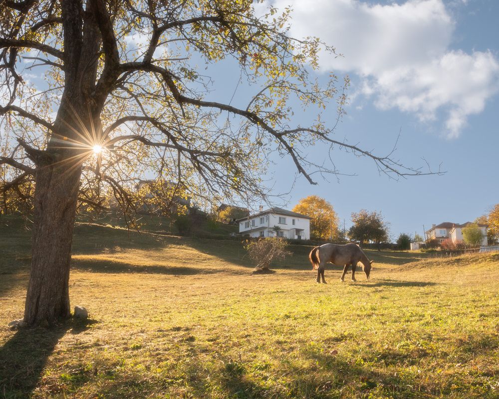 Фотография автора Lyuboslav Bochev